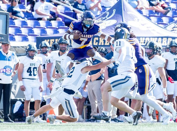 How Can Pets in the UK Improve Our Daily Lives?